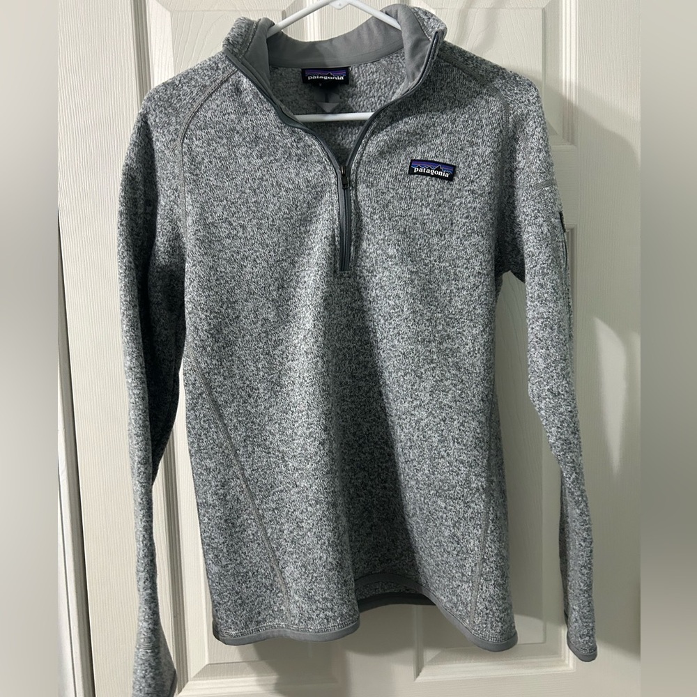 Patagonia Light Gray Fleece Jacket